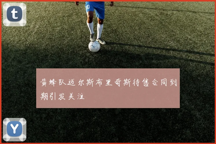 黄蜂队迈尔斯布里奇斯待售合同到期引发关注